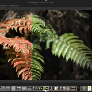 Darktable