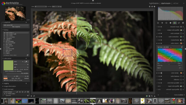 Darktable - Image 1