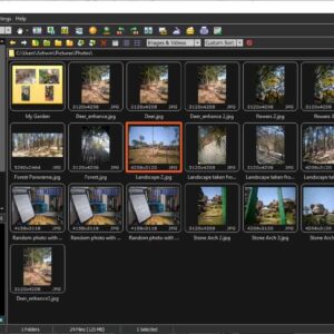 FastStone image Viewer